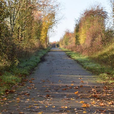 Pour Une Agreable Pause Au Parc ! Alençon Exterior foto